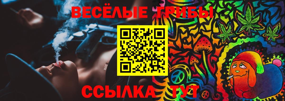 Псилоцибиновые грибы прущие грибы Нерюнгри